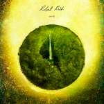 Robert-Rich-Nest-2012