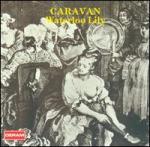 Caravan-_Waterloo_Lily
